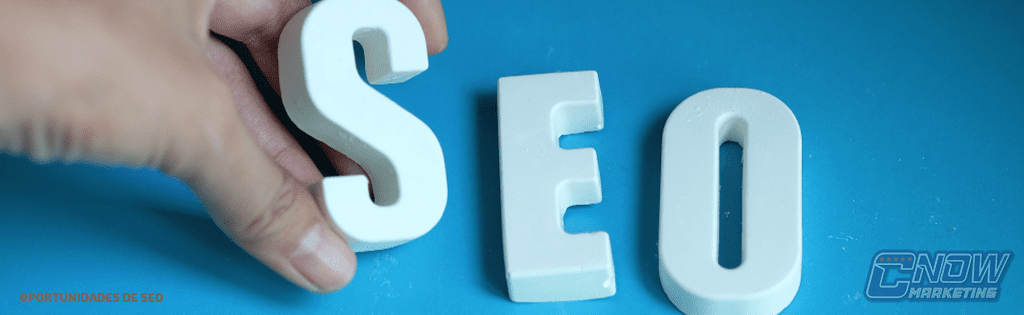 Oportunidades de SEO