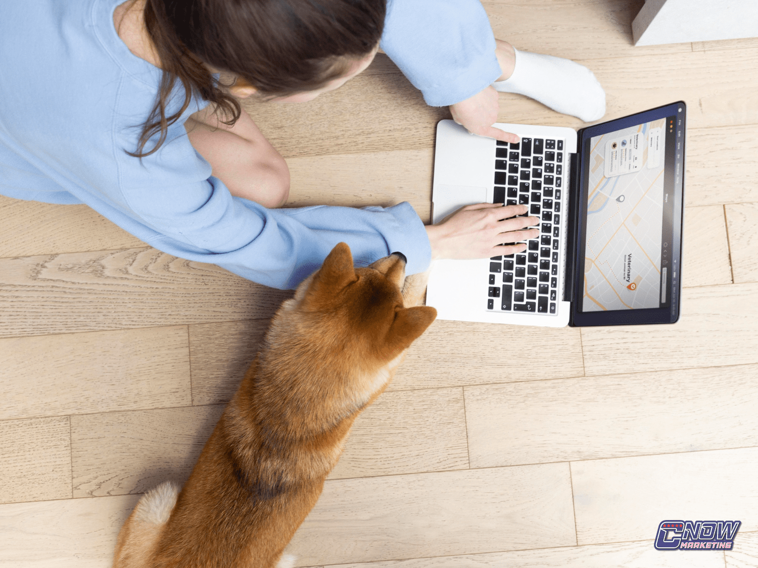 SEO para clínicas veterinárias: conquiste a primeira página do Google