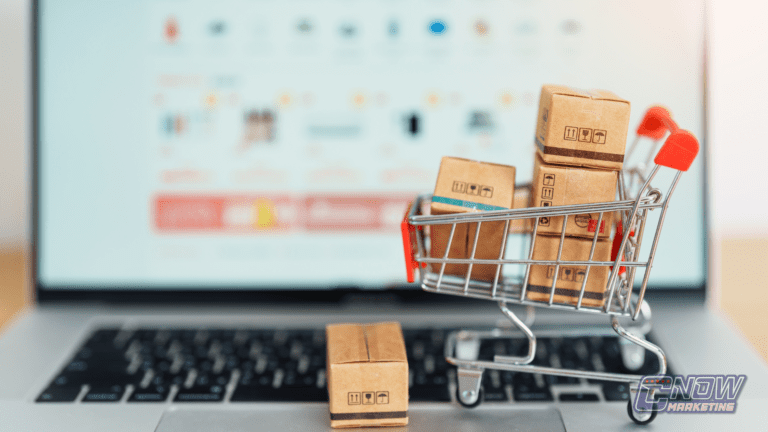 Tráfego Pago para E-commerce: Como Aumentar Vendas com Estratégias Eficientes